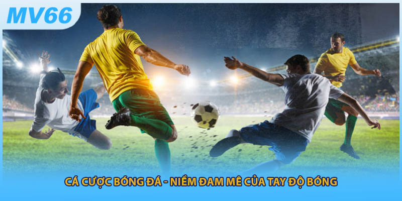 Cá Cược Bóng Đá - Niềm Đam Mê Của AE Mê Bóng 2025