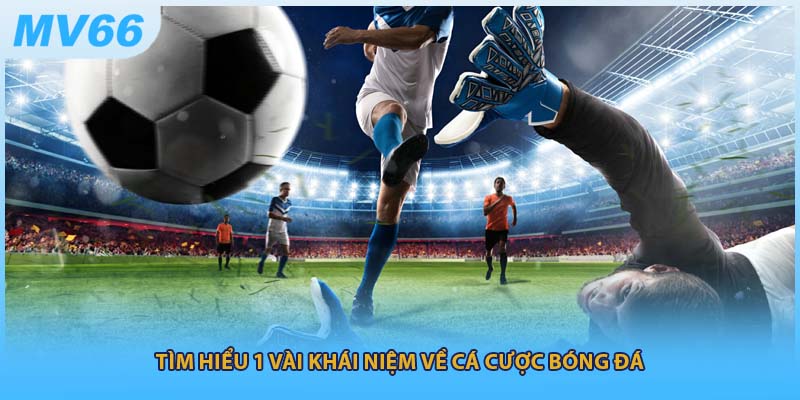 Tìm hiểu 1 vài khái niệm về cá cược bóng đá